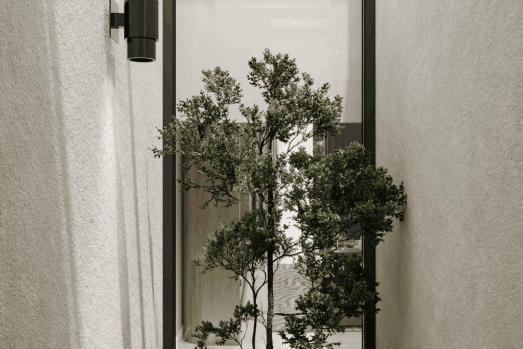 Minimalist Lightwell Garden